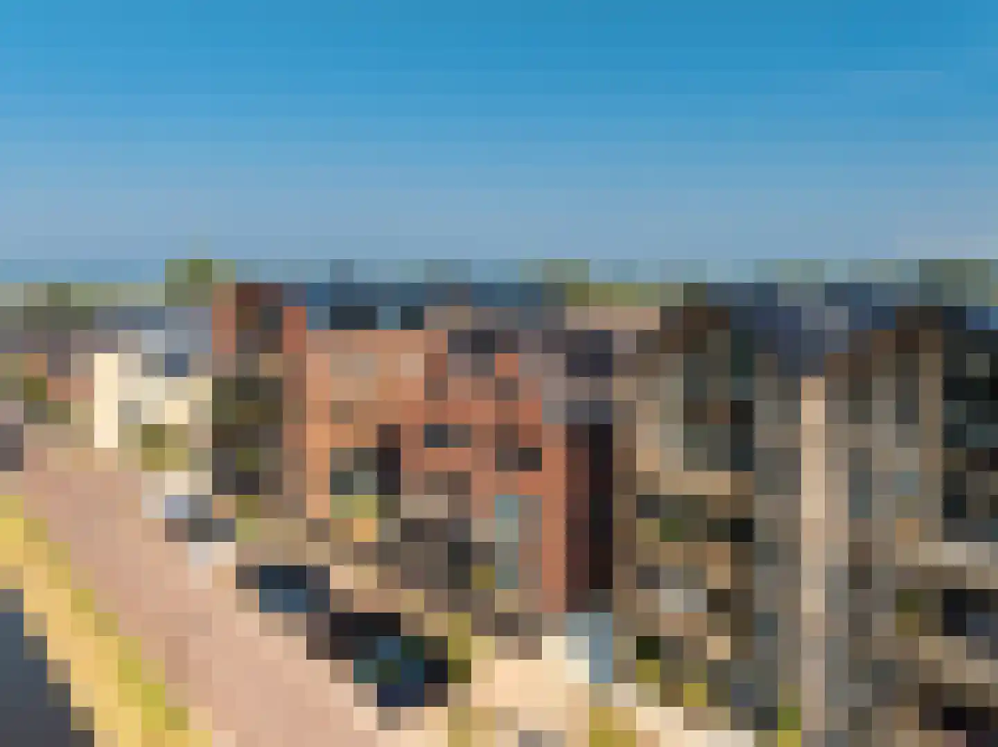 Kroonwerk 78 Muiden thumbnail 45