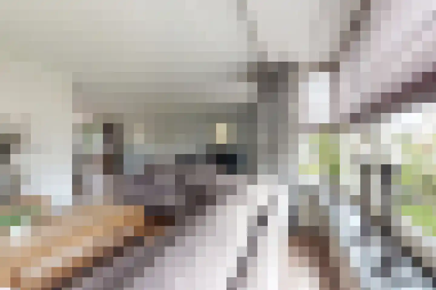 Kroonwerk 8 Klundert thumbnail 21
