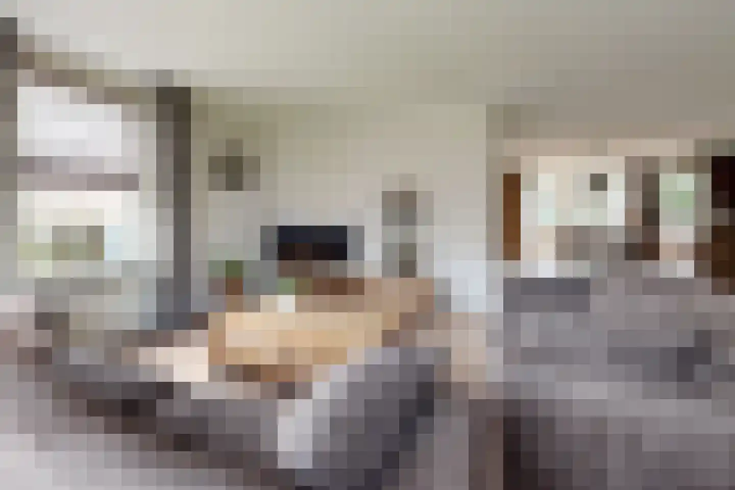 Kroonwerk 8 Klundert foto 3