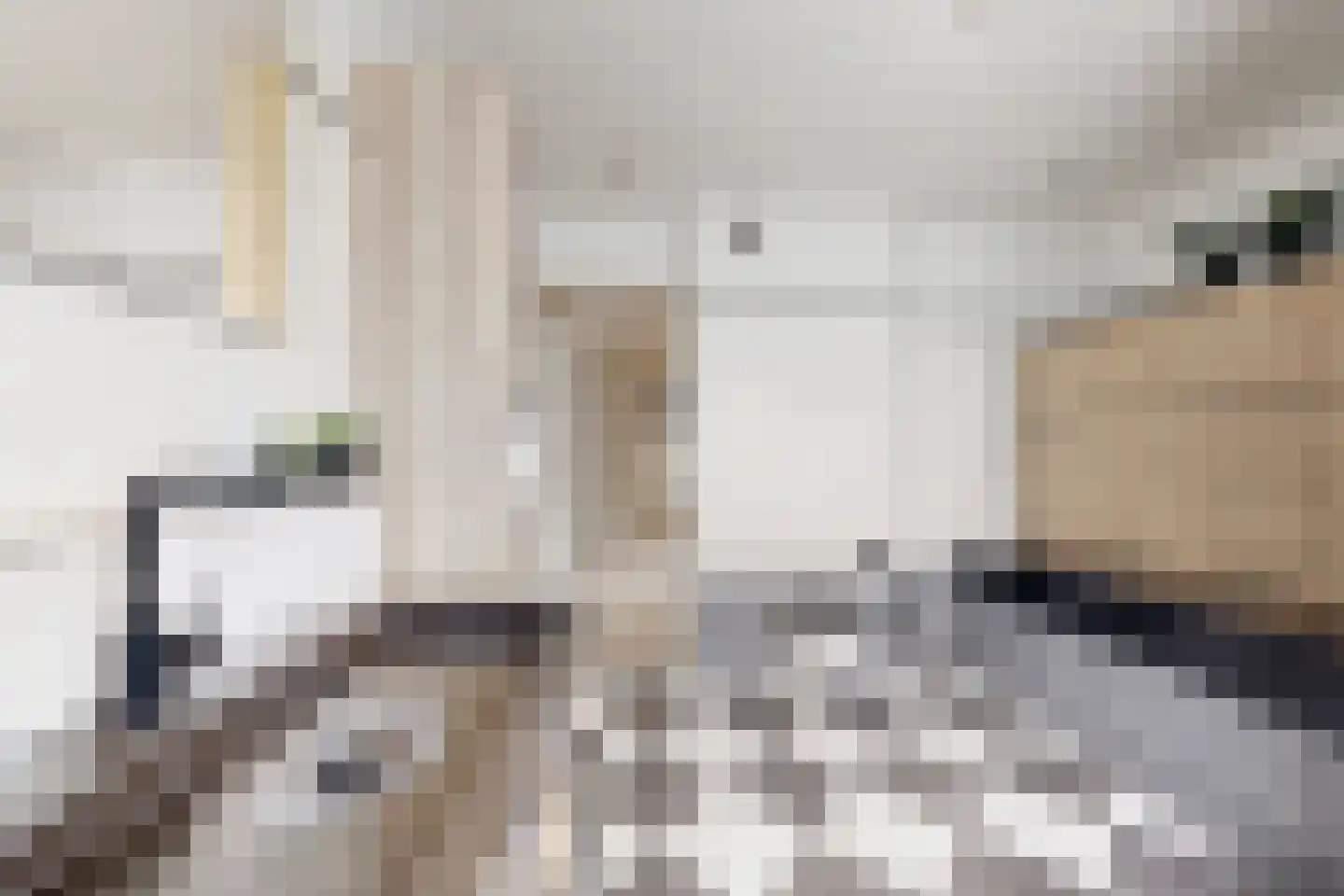 Kroonwerk 8 Klundert thumbnail 58