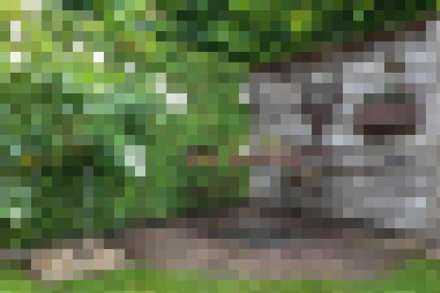 Kroonwerk 8 Klundert thumbnail 73