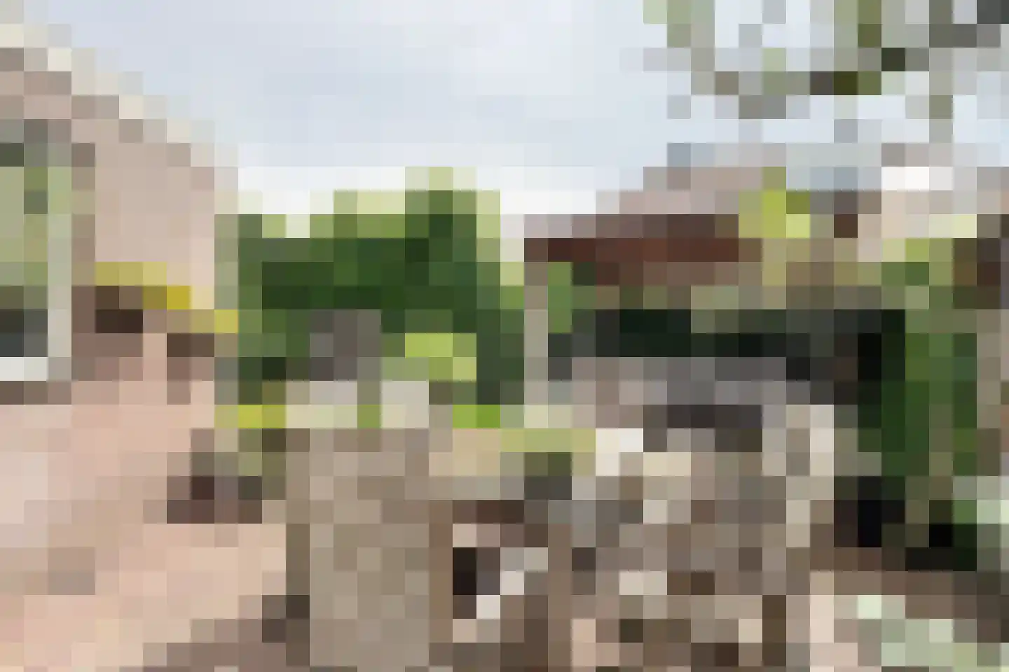 Kroonwerk 8 Klundert thumbnail 82
