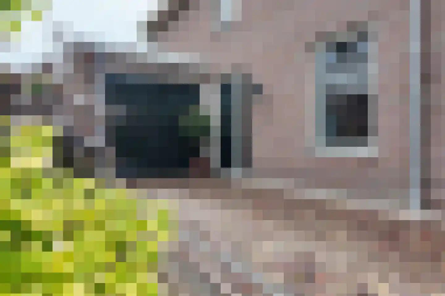 Kroonwerk 8 Klundert thumbnail 92