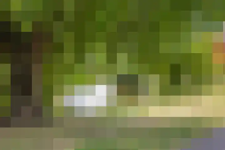 Kroonwijksingel 7 D Oostburg thumbnail 48