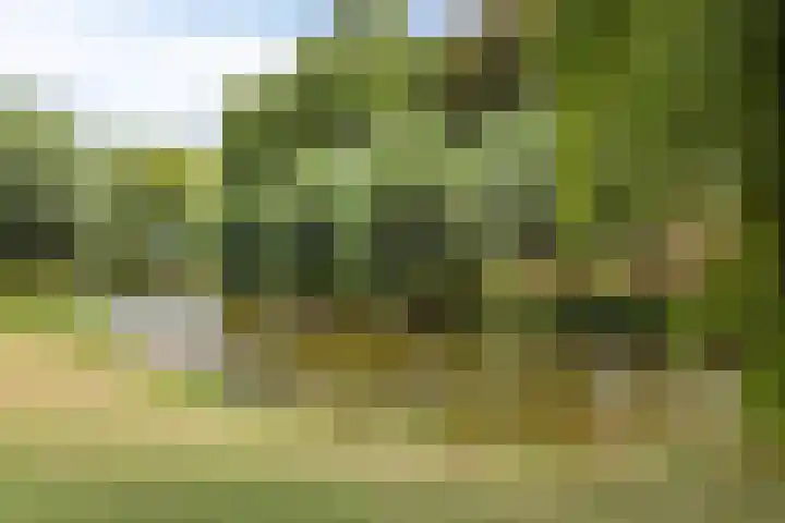 Kroonwijksingel 7 D Oostburg thumbnail 49