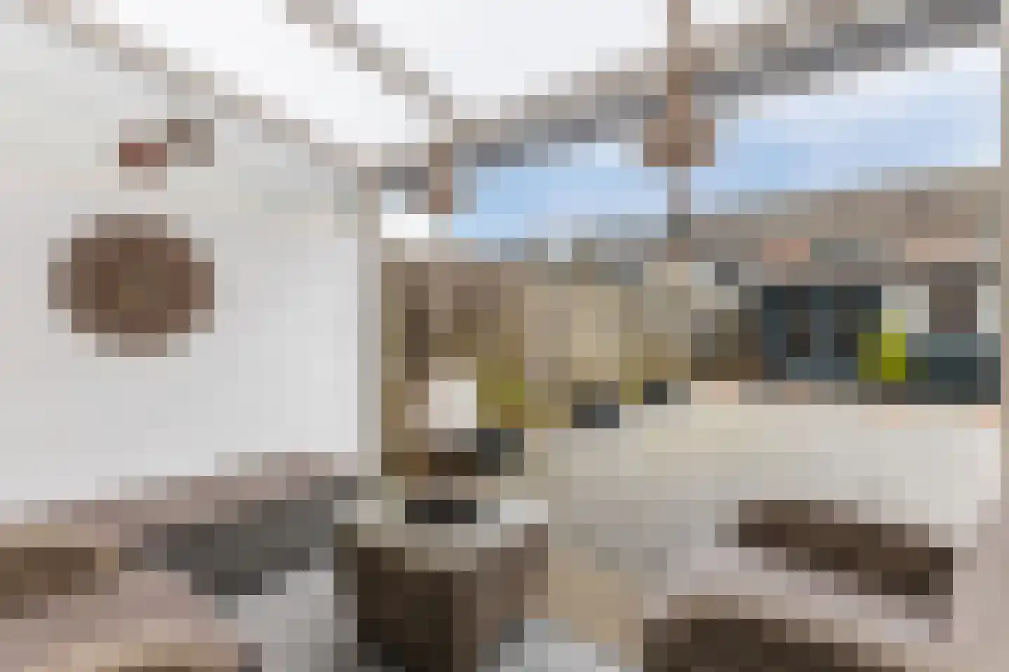 Kroosakker 13 Noord-Scharwoude thumbnail 40