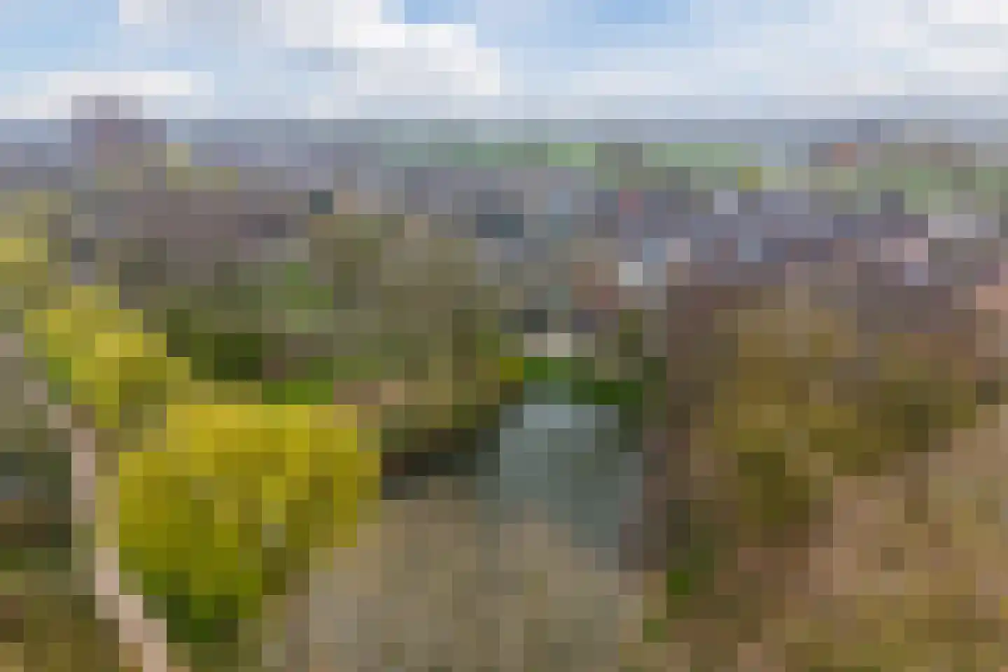 Kroosakker 13 Noord-Scharwoude thumbnail 49