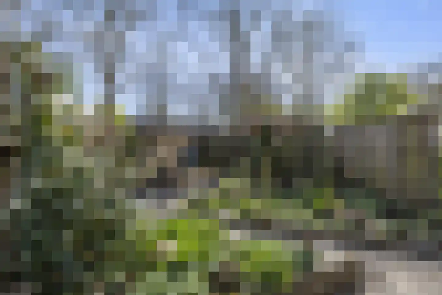 Kroosakker 20 Noord-Scharwoude thumbnail 29