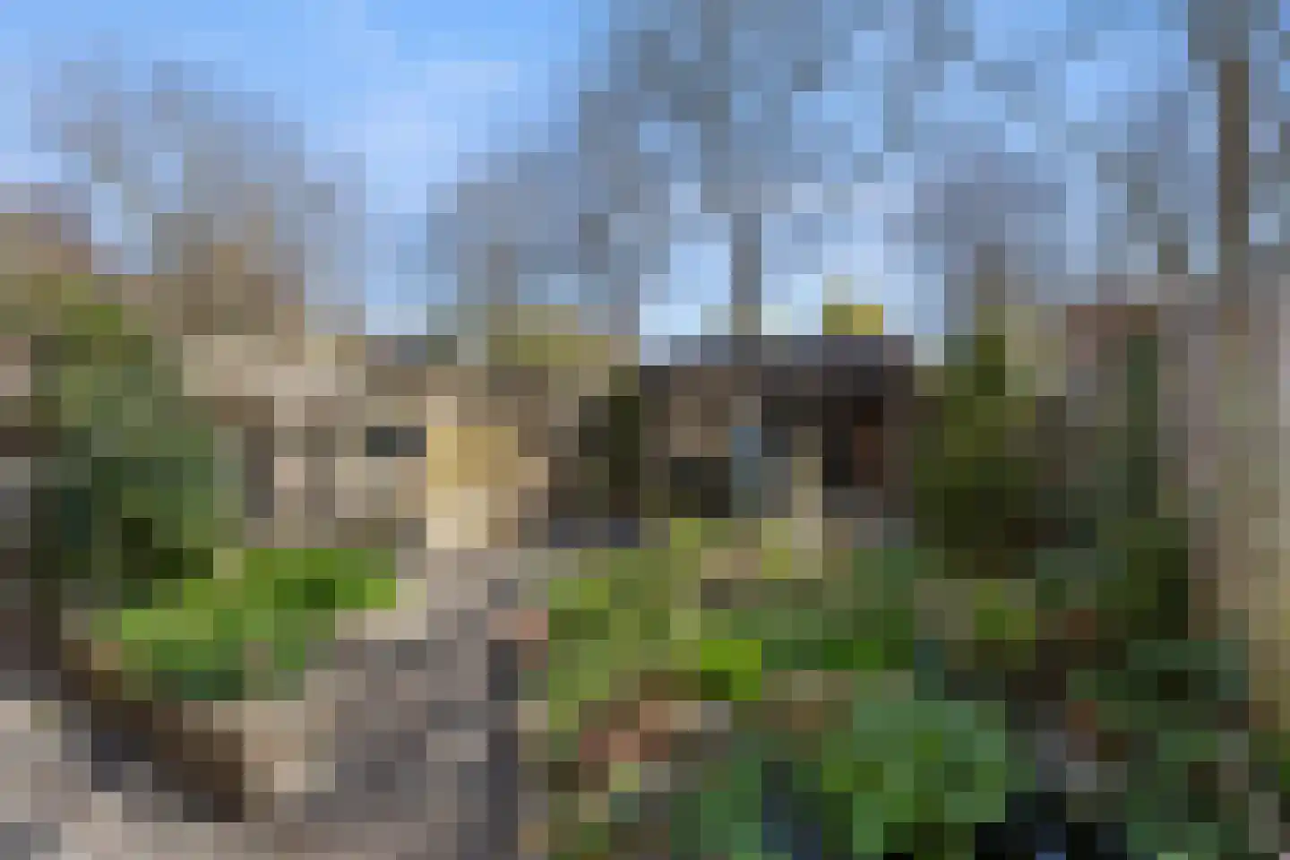Kroosakker 20 Noord-Scharwoude thumbnail 30