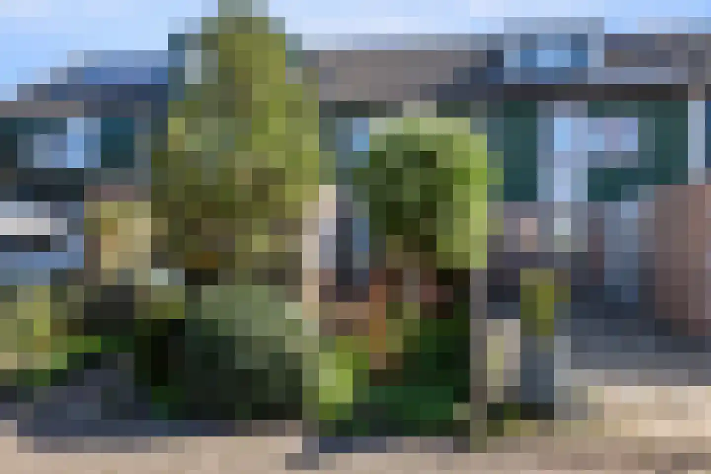 Kroosakker 20 Noord-Scharwoude thumbnail 32