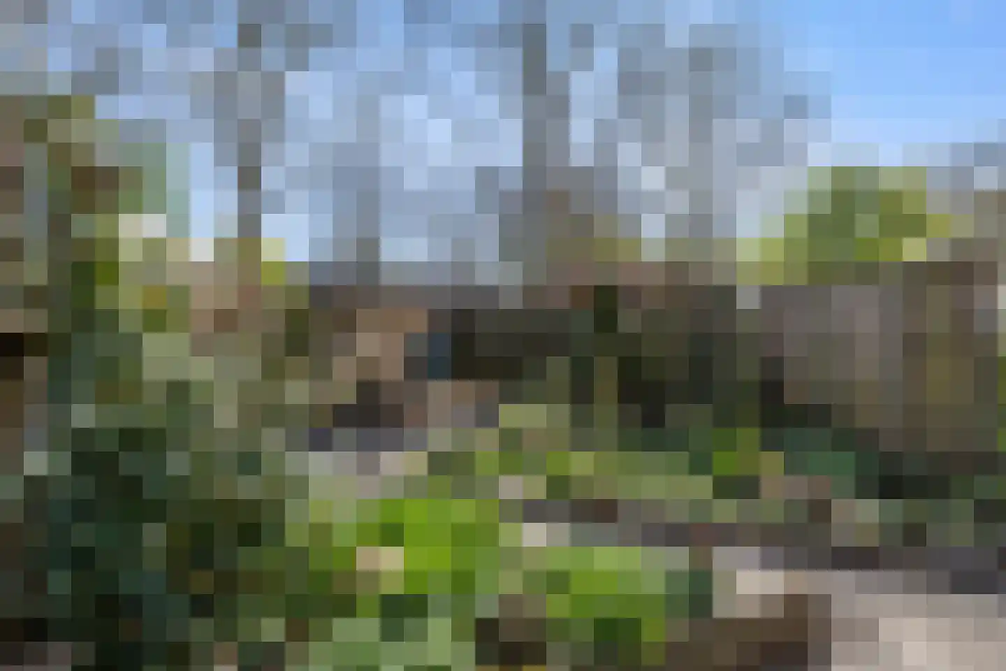 Kroosakker 20 Noord-Scharwoude thumbnail 4