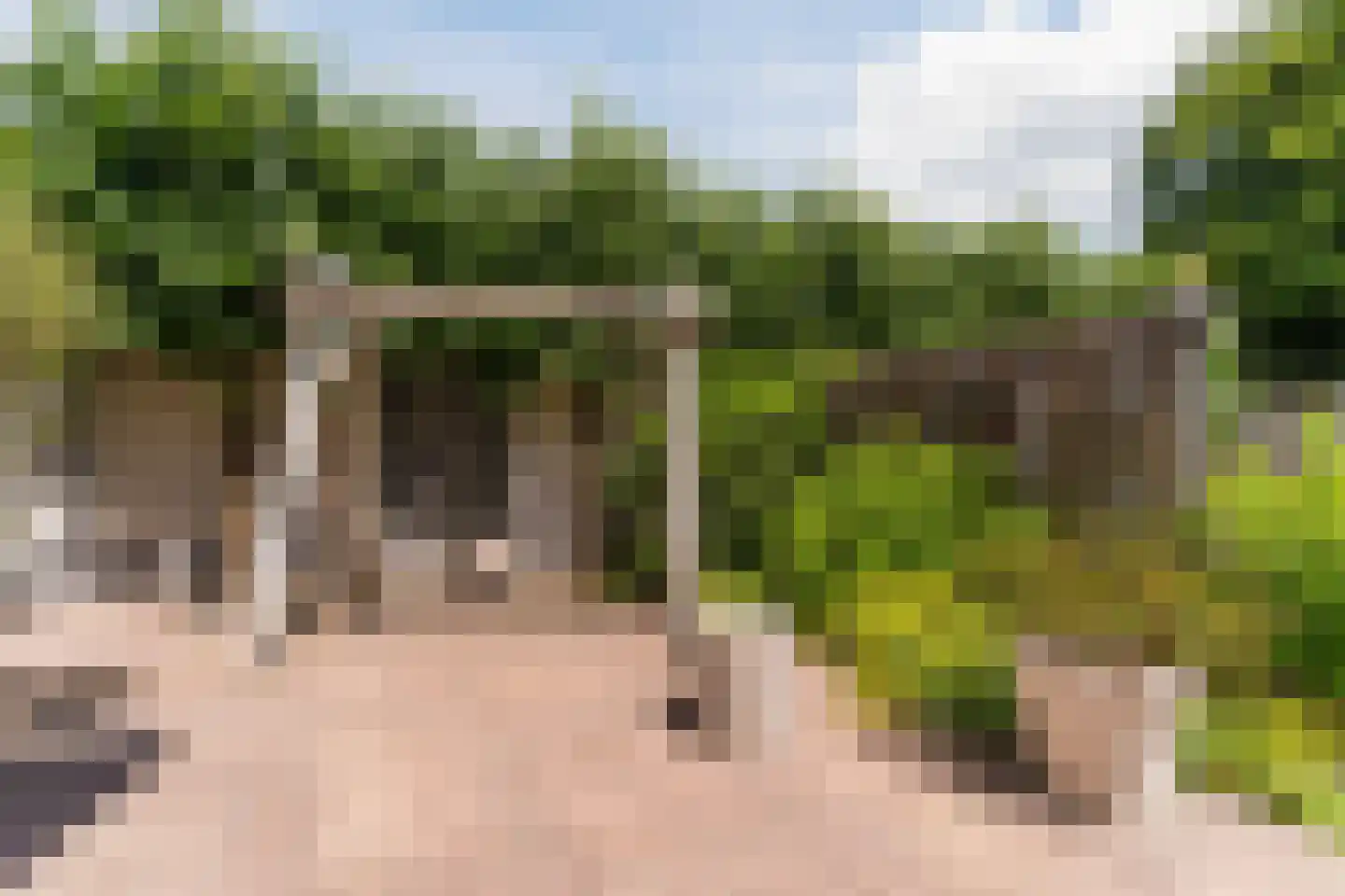 Kroosakker 36 Noord-Scharwoude thumbnail 49