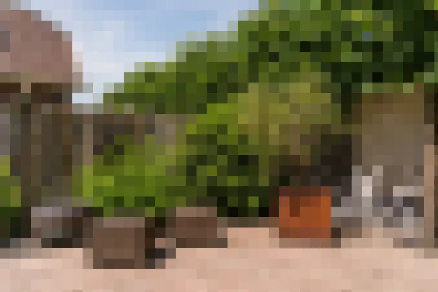 Kroosakker 36 Noord-Scharwoude thumbnail 53