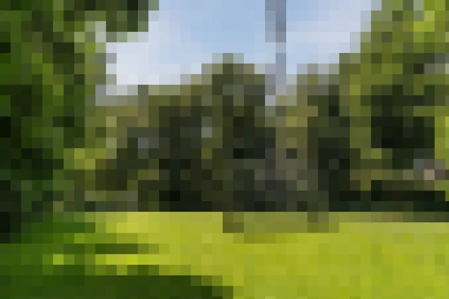 Kroosakker 36 Noord-Scharwoude thumbnail 57