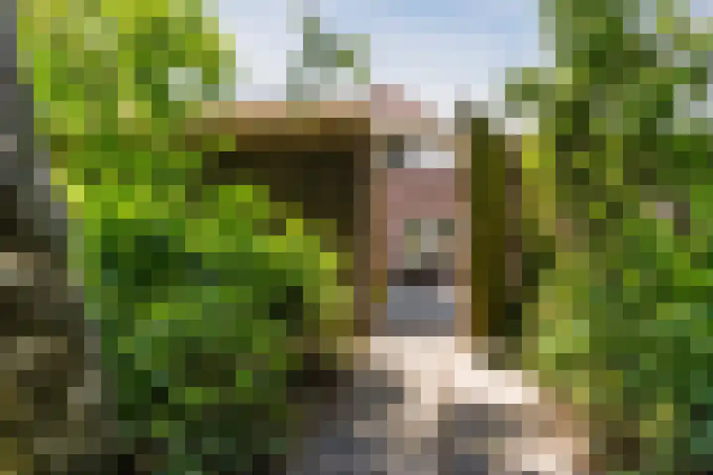 Kroosakker 36 Noord-Scharwoude thumbnail 60