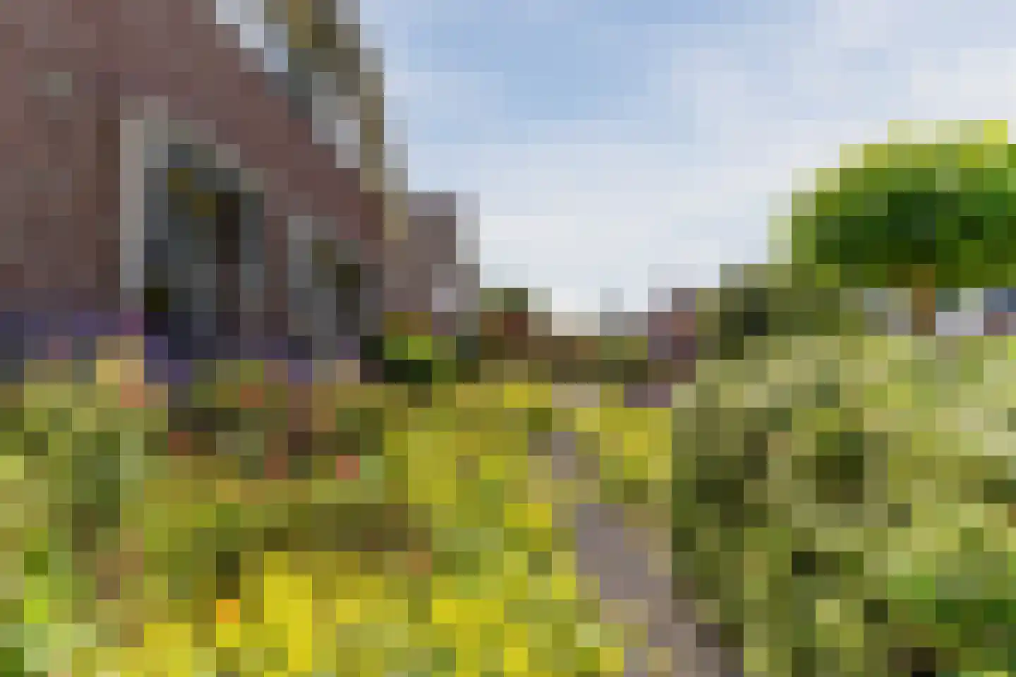 Kroosakker 36 Noord-Scharwoude thumbnail 61