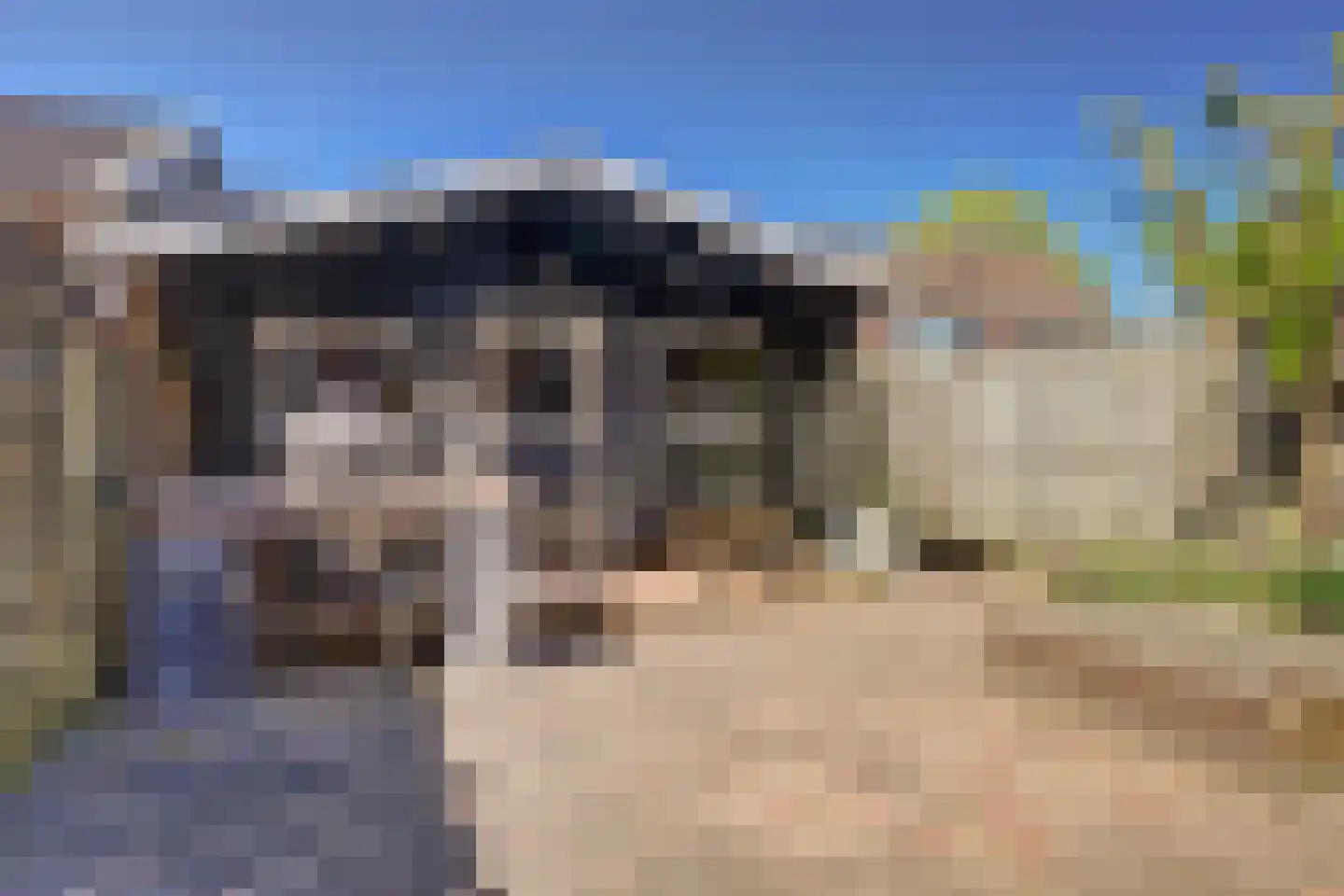 Kroosakker 7 Noord-Scharwoude thumbnail 36