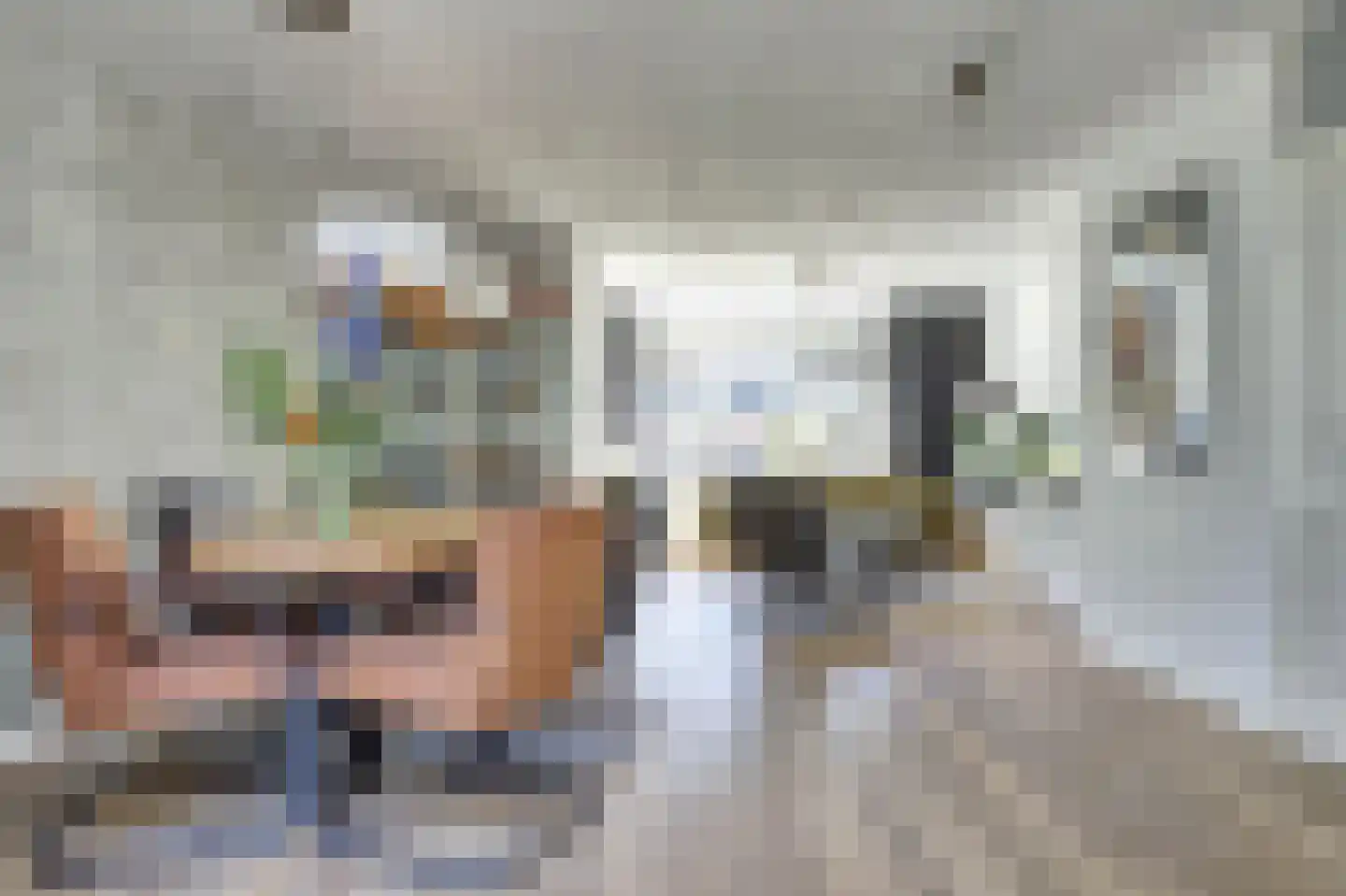 Kroosakker 7 Noord-Scharwoude thumbnail 6