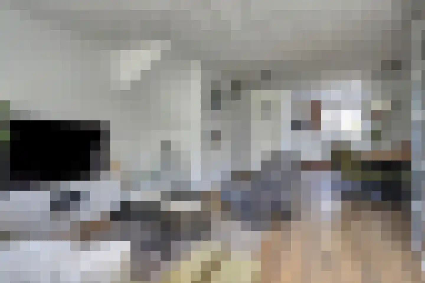 Kroosakker 7 Noord-Scharwoude thumbnail 9