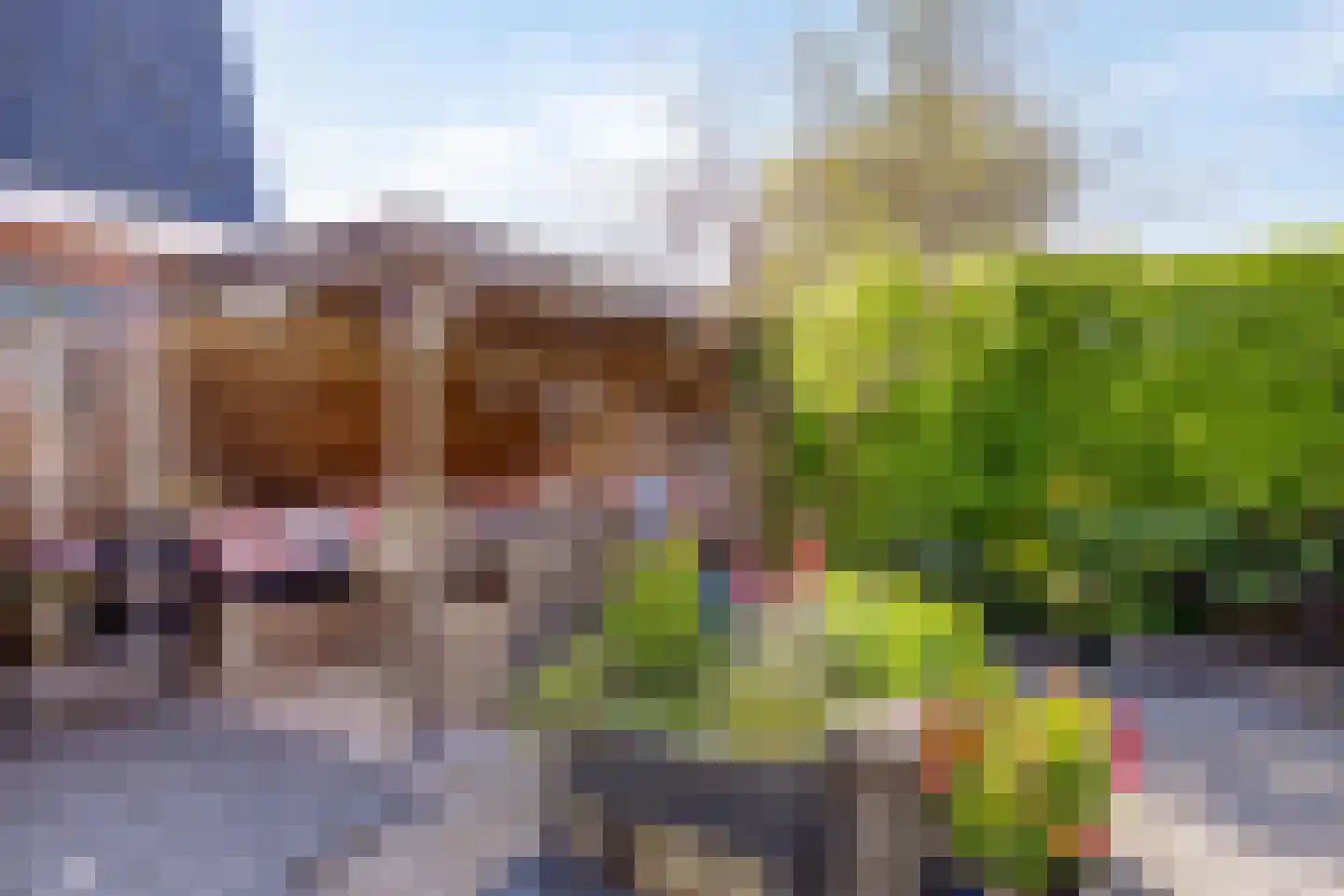 Kroosbrug 65 Sint Pancras thumbnail 42