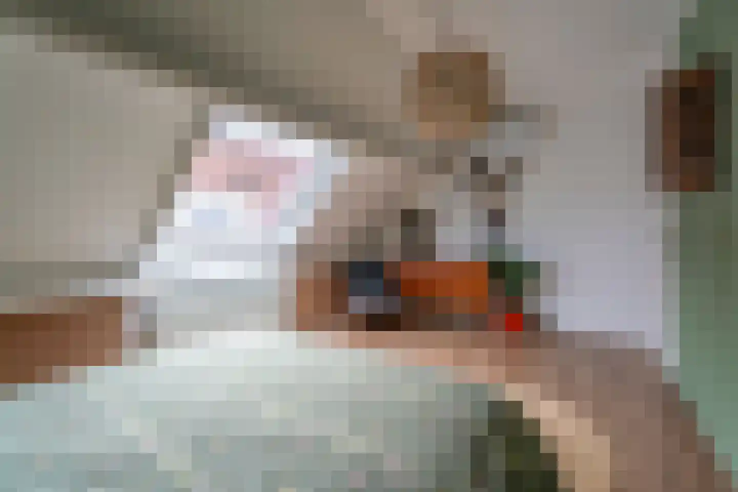 Krooshof 16 Voorhout thumbnail 27