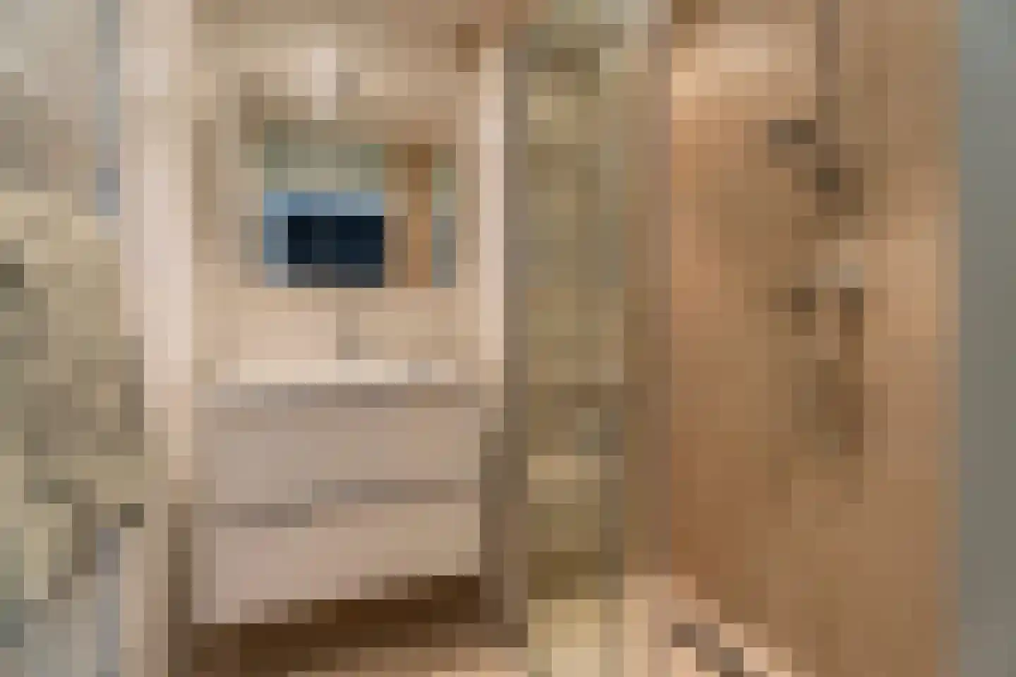 Krooshof 16 Voorhout thumbnail 33