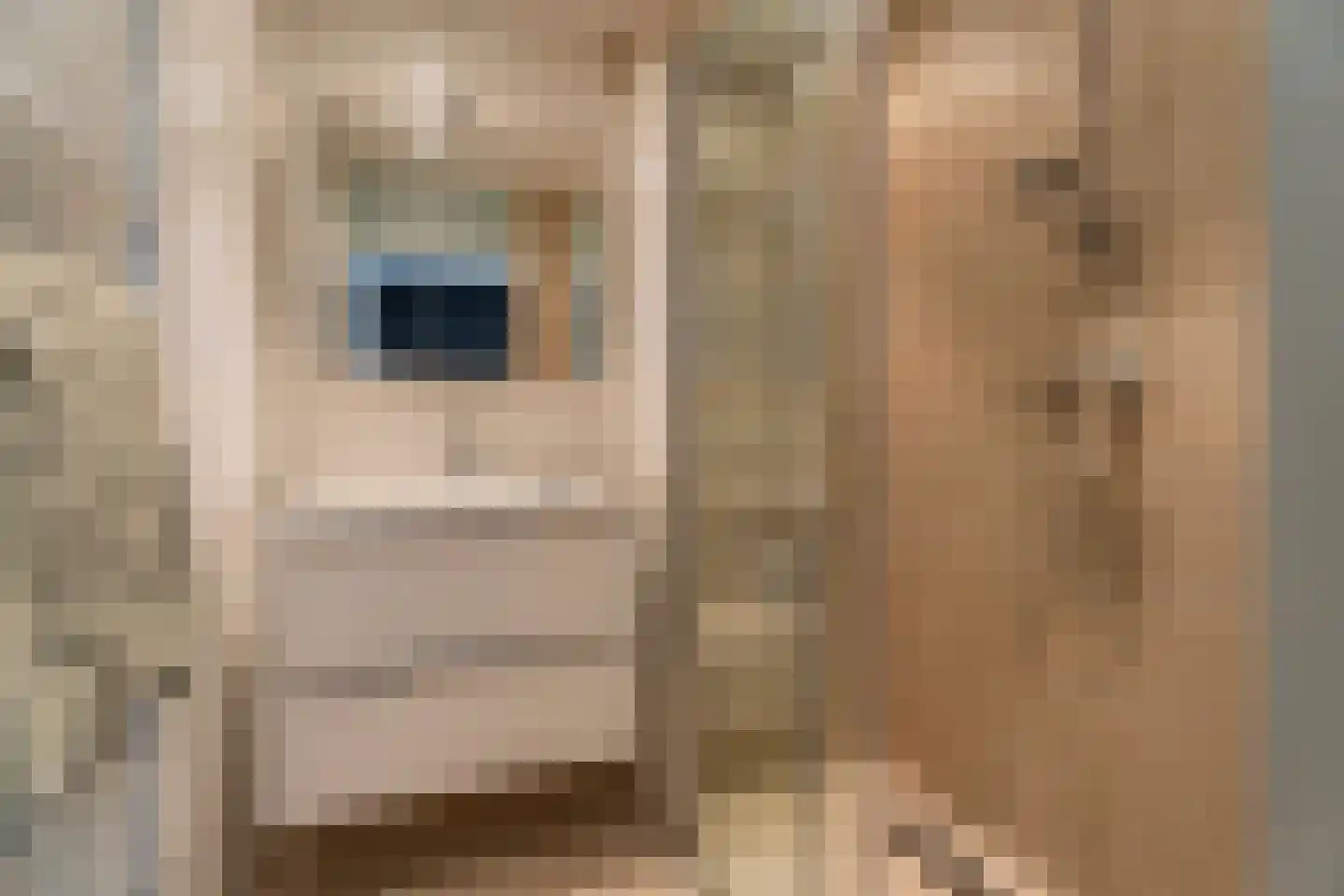 Krooshof 16 Voorhout thumbnail 6