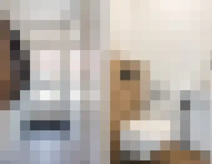 Krooshof 17 Voorhout thumbnail 12