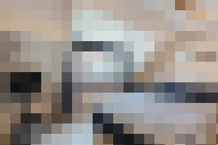 Krooshof 17 Voorhout thumbnail 13