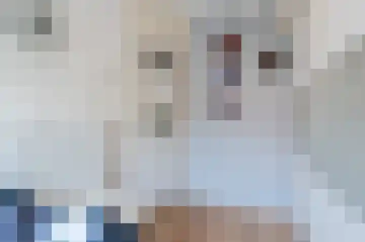 Krooshof 17 Voorhout thumbnail 17