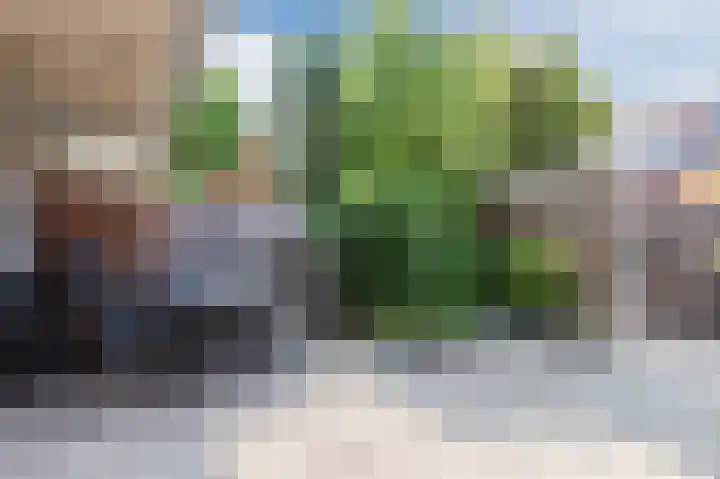 Krooshof 17 Voorhout thumbnail 26