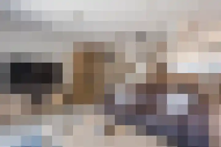 Krooshof 17 Voorhout thumbnail 5