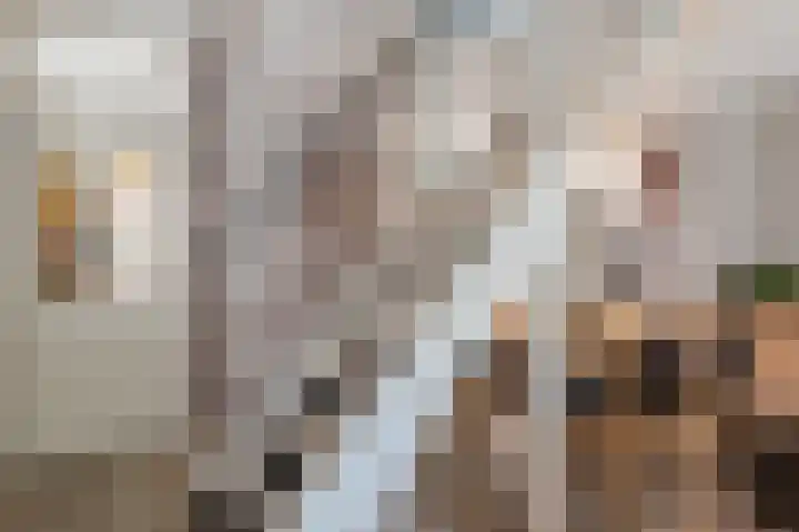Krooshof 17 Voorhout thumbnail 7