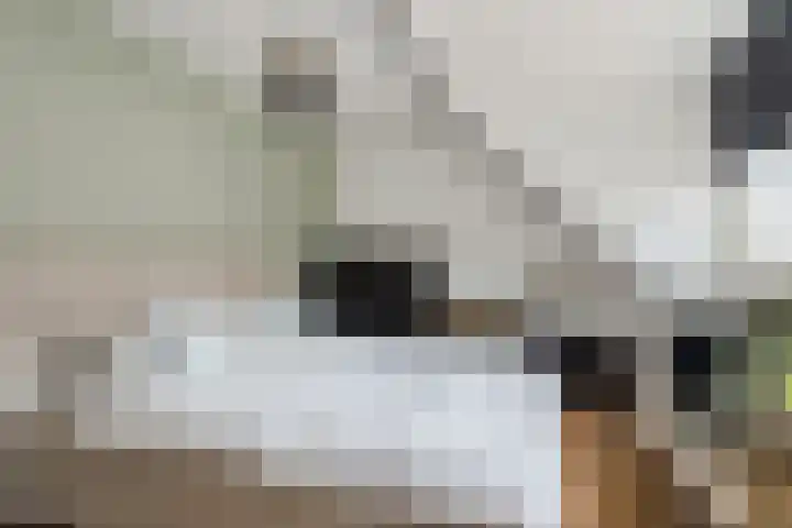 Krooshof 4 Voorhout thumbnail 18