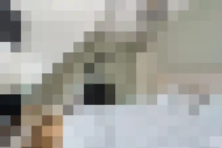 Krooshof 4 Voorhout thumbnail 19