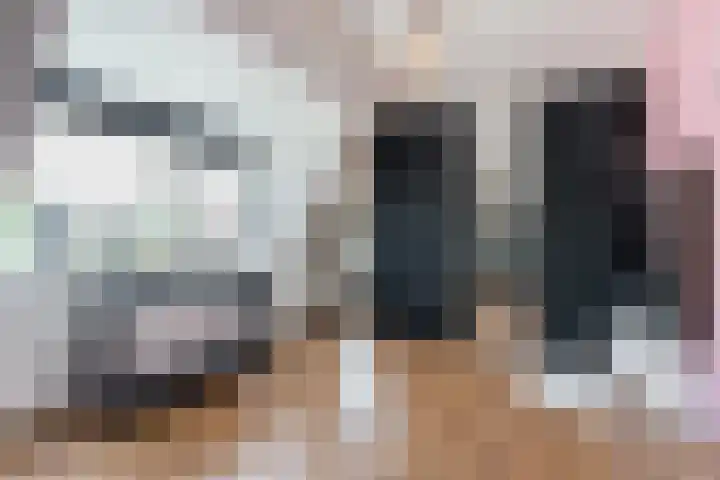 Krooshof 4 Voorhout thumbnail 21