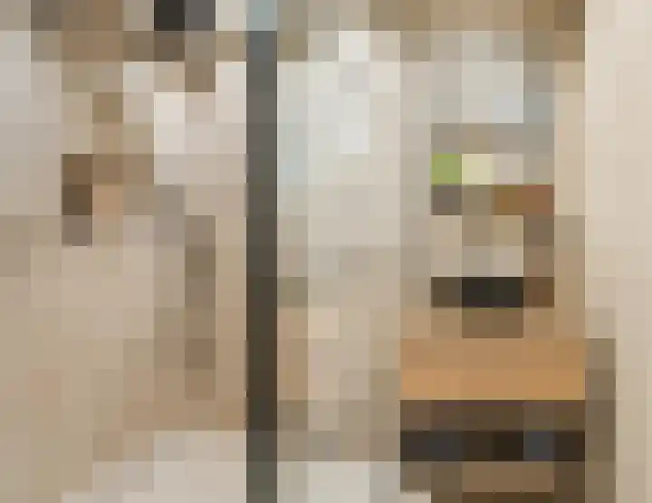 Krooshof 4 Voorhout thumbnail 24