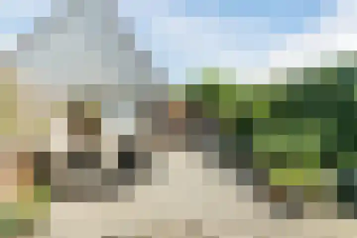 Krooshof 4 Voorhout thumbnail 34