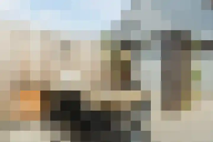 Krooshof 4 Voorhout thumbnail 36