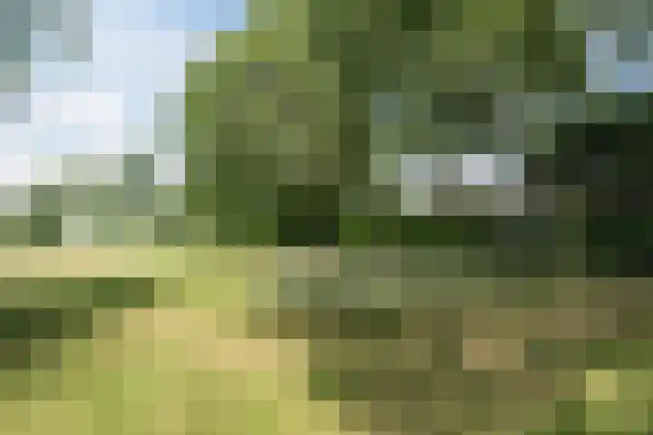 Krooshof 4 Voorhout thumbnail 43