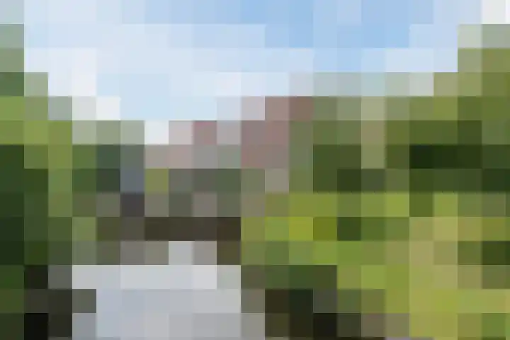 Krooshof 4 Voorhout thumbnail 44