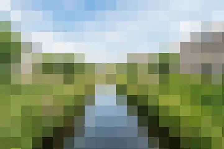 Krooshof 4 Voorhout thumbnail 45