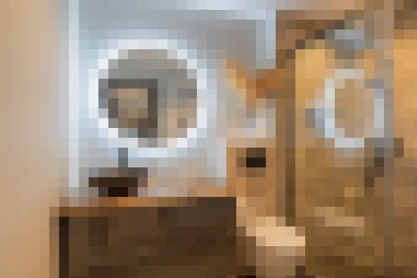 Krooshof 7 Voorhout thumbnail 17
