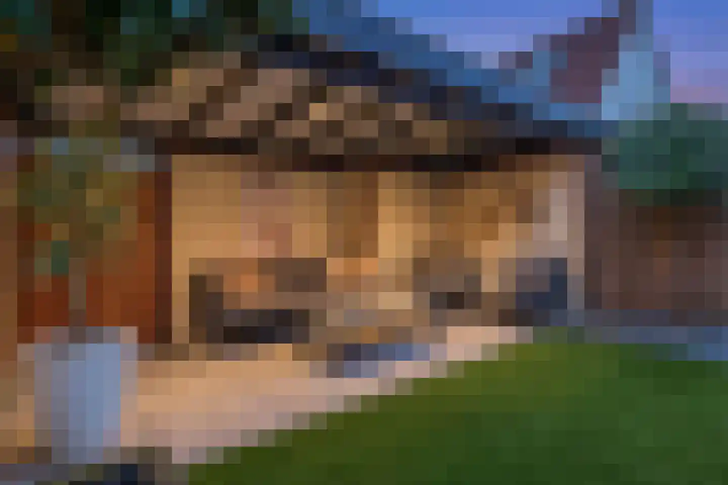 Krooshof 7 Voorhout thumbnail 24