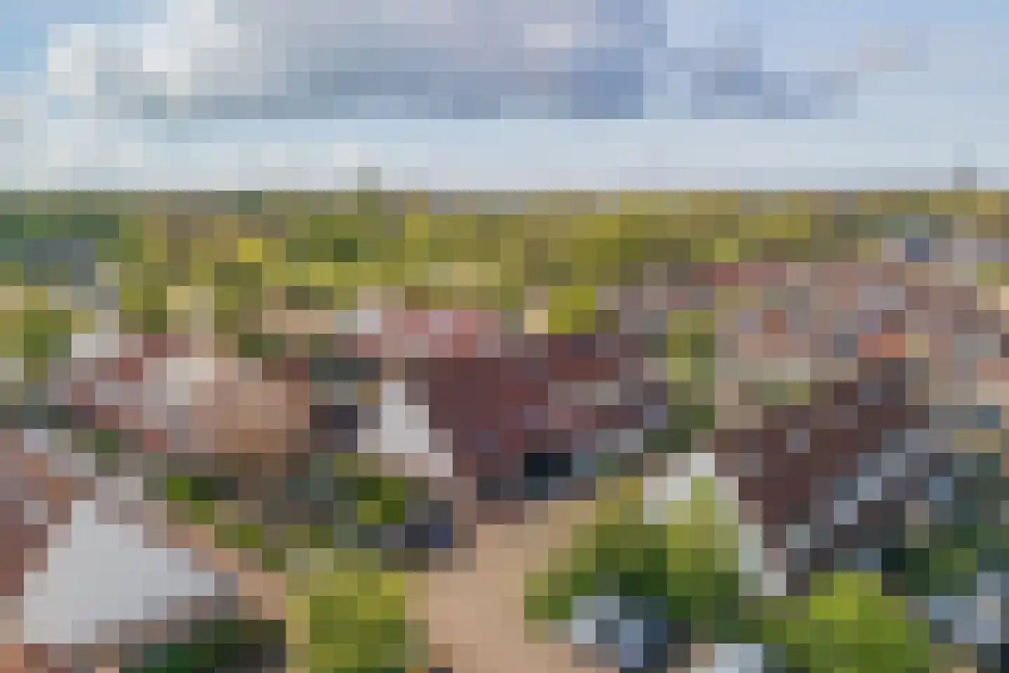 Krooshof 7 Voorhout thumbnail 26