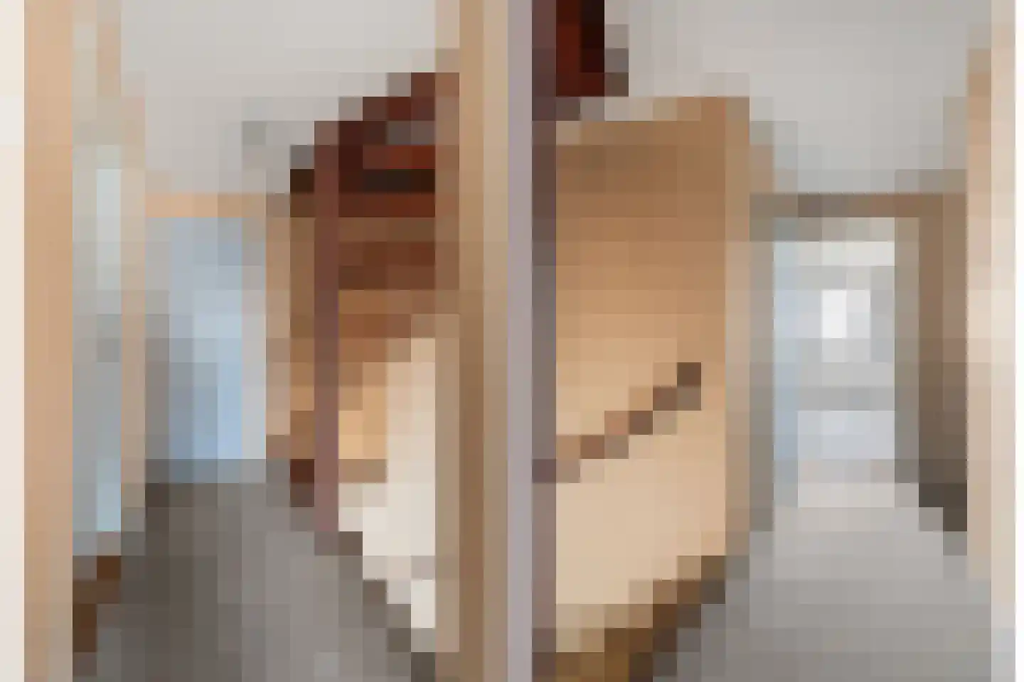 Krooshofstraat 23 Zijderveld thumbnail 15