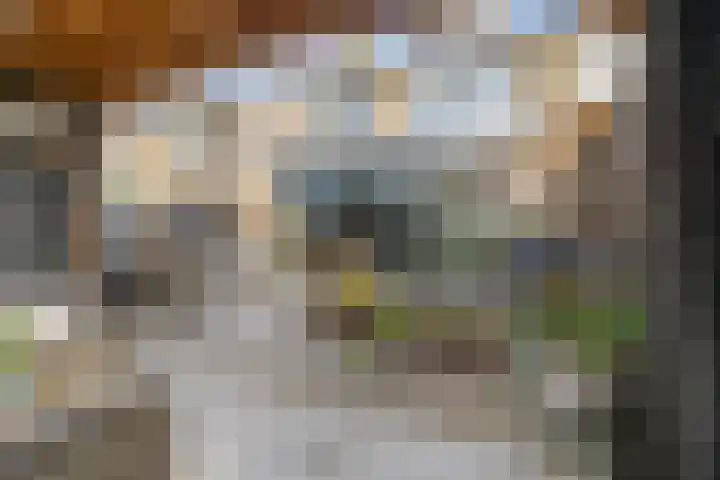 Krooshofstraat 46 Zijderveld thumbnail 26