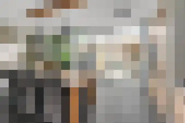 Krooshofstraat 46 Zijderveld thumbnail 7
