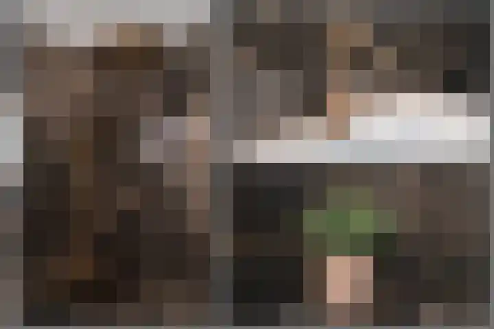 Krooshofstraat 69 Zijderveld thumbnail 20