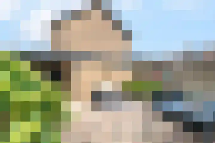 Krooshofstraat 69 Zijderveld thumbnail 26
